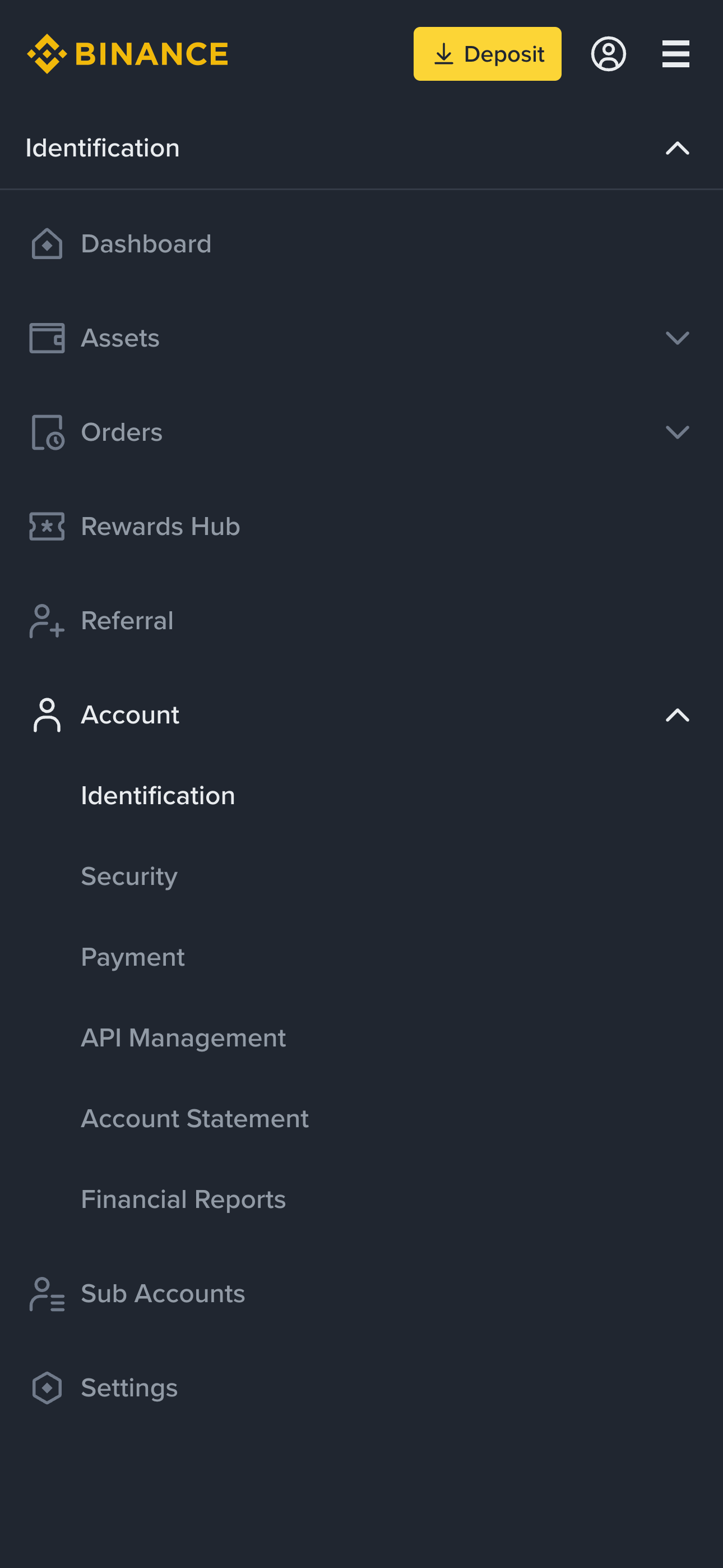 Binance API Management Entry