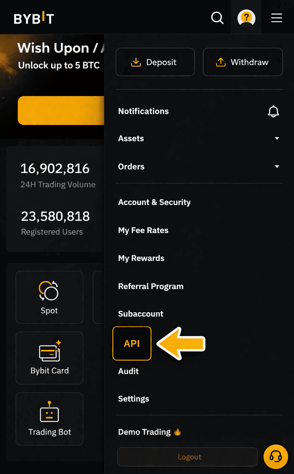 Bybit API Management Entry